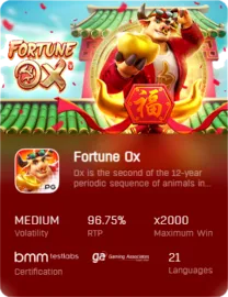 Fortune-ฉ่ำ168-2